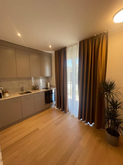 Kitchen or kitchenette, minibar, pet friendly, stove
