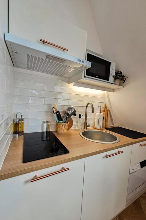 Kitchen or kitchenette, dishwasher, stove