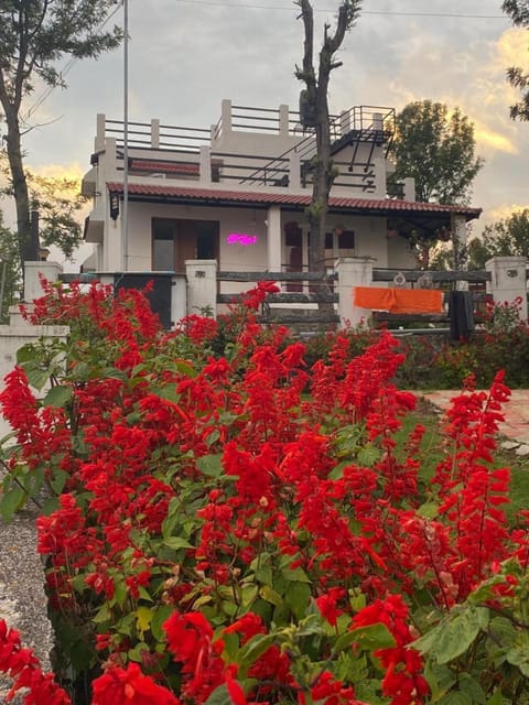 Property building, Garden view