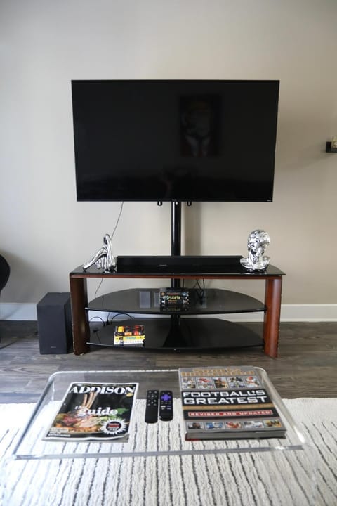 The Hangout ! Apartment in Addison