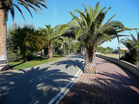 Natural landscape