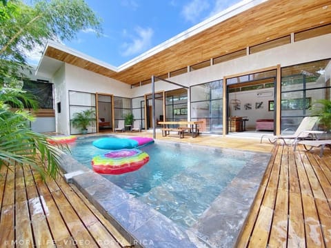 Patio, Swimming pool, sunbed