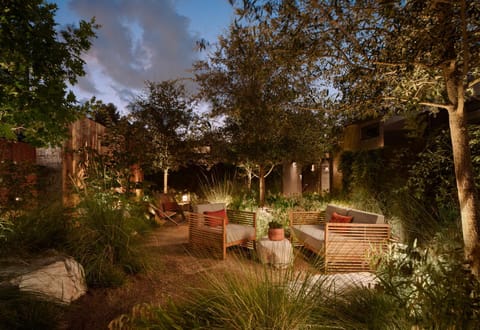 Night, Natural landscape, Seating area