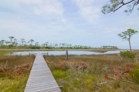 Canal- Bay Front family home 5-bedroom Sleeps 18 POOL coming soon Boat Dock House in Saint George Island