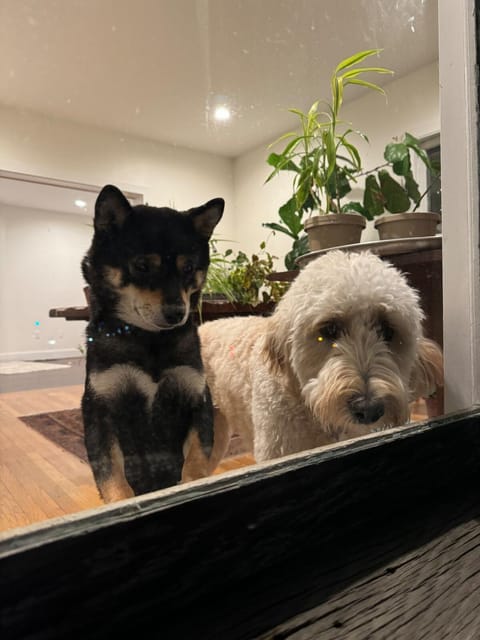 Main Street cabin Cabin in Litchfield County