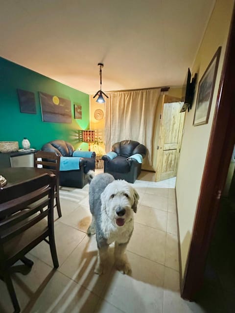 Living room, Pets