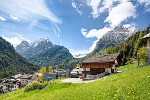 Appartamenti Camilla Apartment in Alba