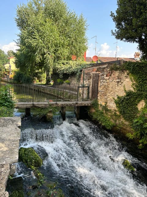Garden, River view