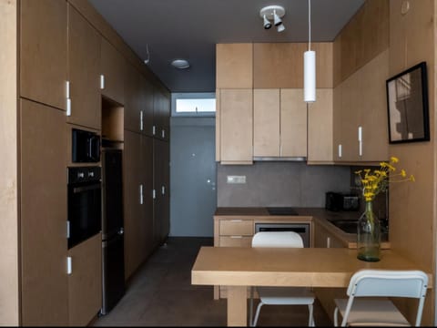 Downtown photographer's studio Apartment in Euboea