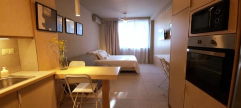 Downtown photographer's studio Apartment in Euboea