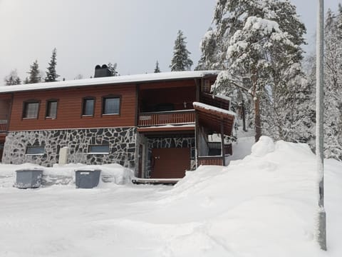 Kärpänrinne B House in Lapland
