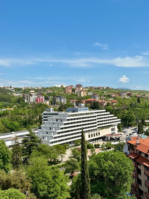 Day, Natural landscape, Bird's eye view, View (from property/room), View (from property/room), Landmark view