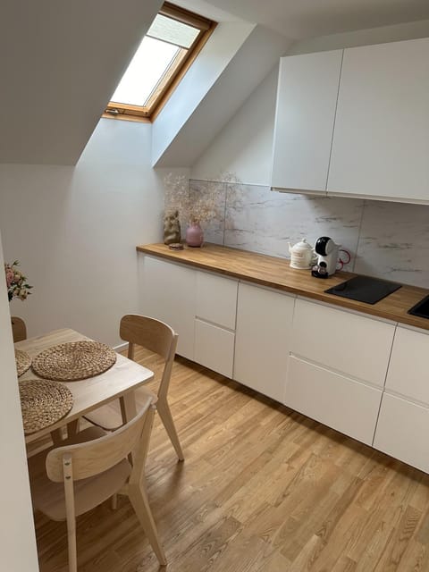 Leyla's Apartment Apartment in Klaipėda County, Lithuania