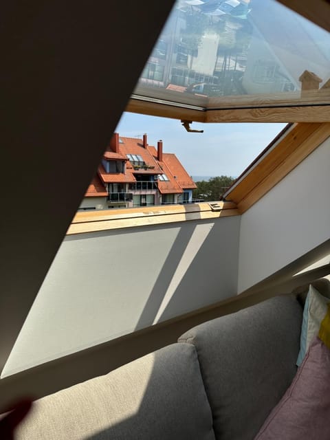 Leyla's Apartment Apartment in Klaipėda County, Lithuania