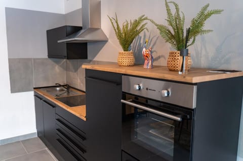 EIN Zi APARTMENT ZENTRUM WLAN PARKPLATZ 01 Apartment in Offenbach