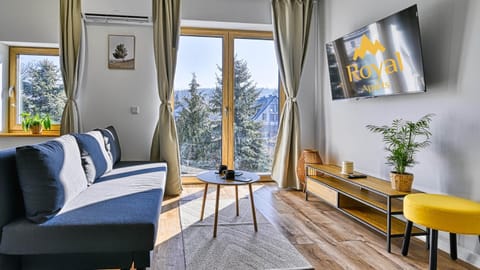 TV and multimedia, Seating area, air conditioner