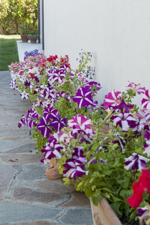 B&B Le Fresie Bed and Breakfast in Sardinia