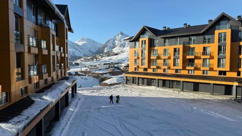 Nearby landmark, Winter, Mountain view