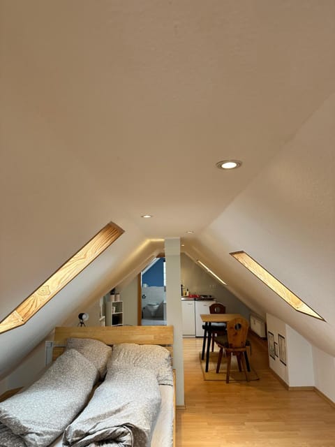 Appartement direkt am Schwarzwald Apartment in Ortenau