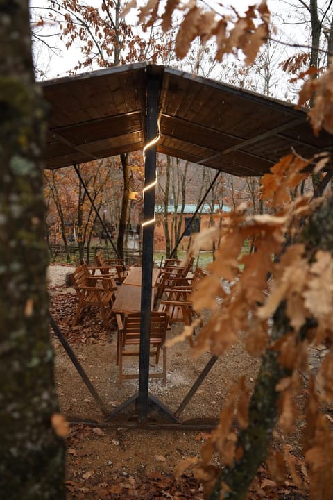 Villa Taraxha Campground/ 
RV Resort in Serbia