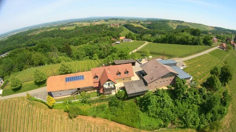 Day, Bird's eye view