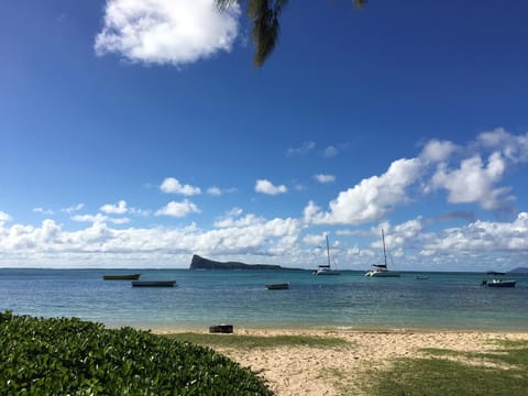 Nearby landmark, Natural landscape, Beach