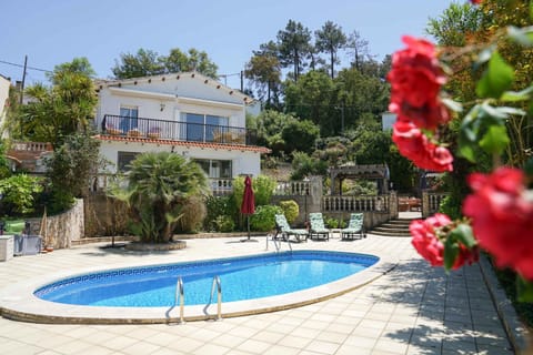 Property building, Garden, Swimming pool