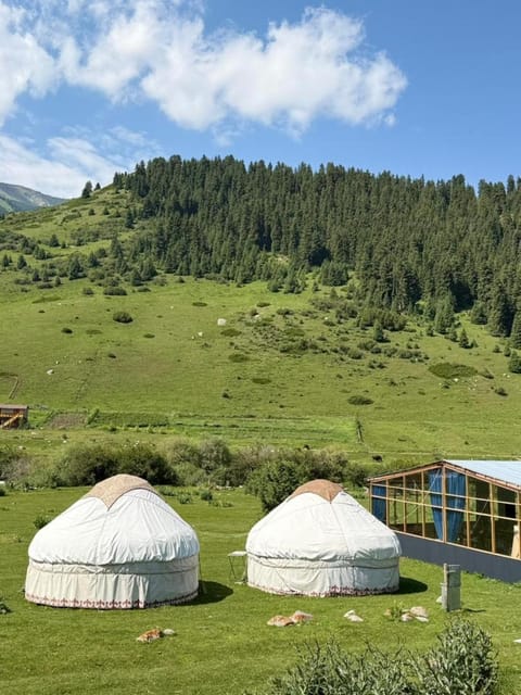 Mountain view
