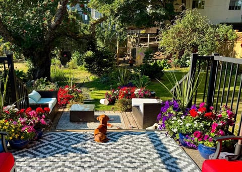 Property building, Patio