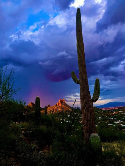 Los Lagos Mesa House in Dobson Ranch