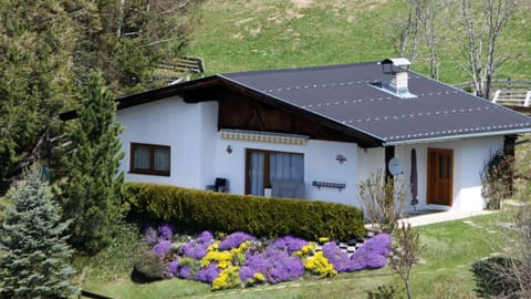 Property building, Spring, Day, Garden