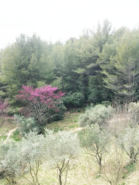 Jardin dans les Pins Apartment in Gémenos
