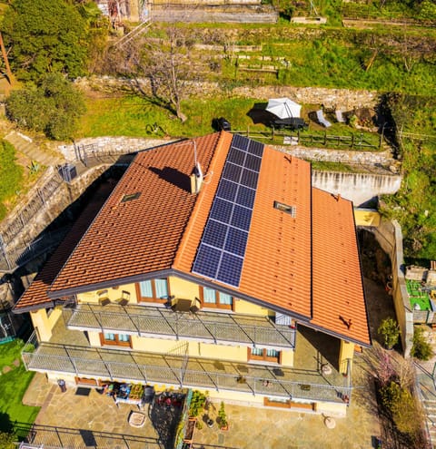 Property building, Bird's eye view