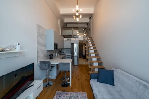 Charlotte loft Apartment in Vilnius