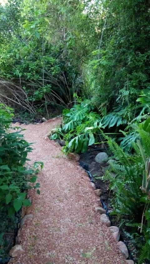 Garden, Balcony/Terrace