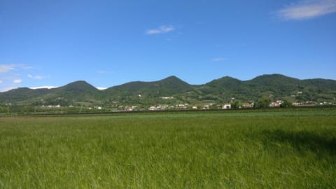 Oleaclub Locazione Turistica Bed and Breakfast in Trentino-South Tyrol