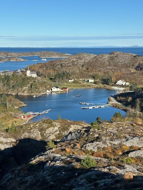 Property view