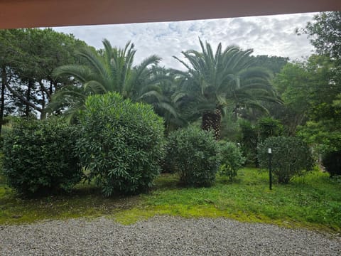 Depandace Lido di capoliveri Apartment in Tuscany