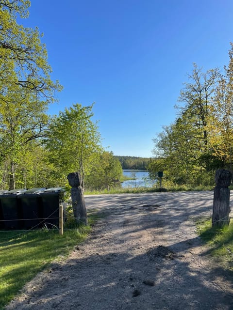 Lake view