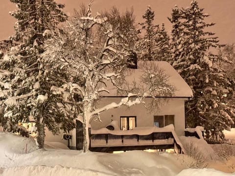 Northern nights Apartment in Tromso