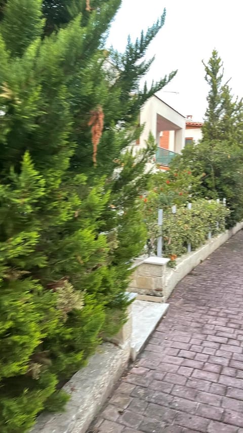 Day, Garden, Garden view