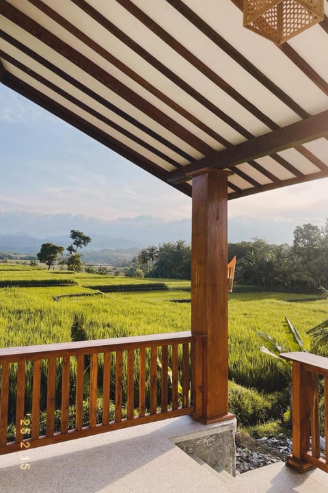Patio, Garden, Balcony/Terrace, Garden view