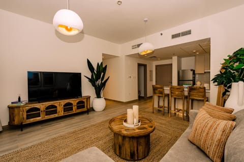 TV and multimedia, Living room, Seating area, air conditioner