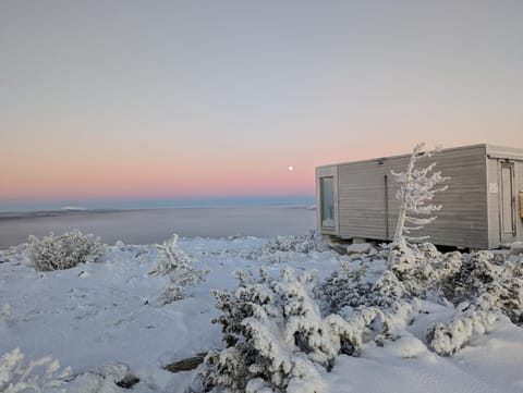 Day, Natural landscape, Winter