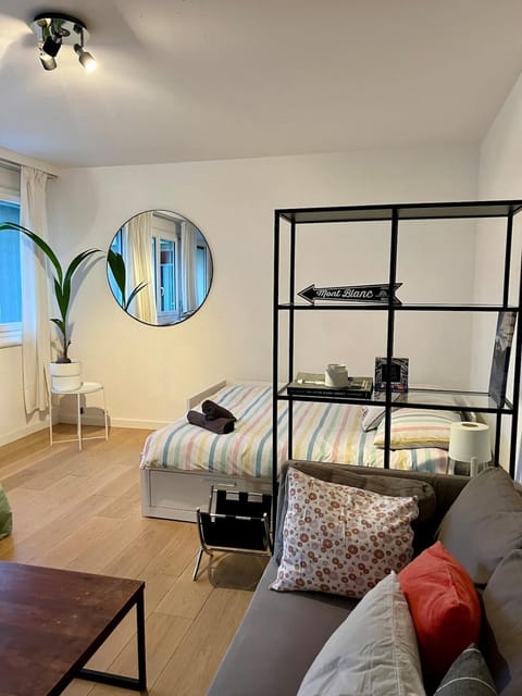 Beautiful central apartment GE Apartment in Geneva