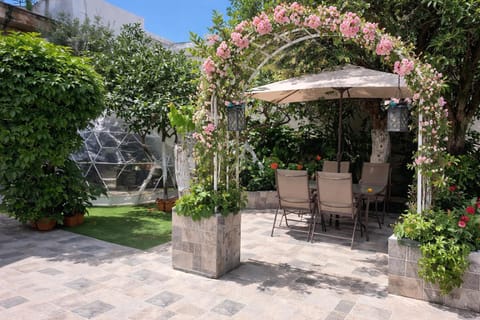 Patio, Spring, Day, Garden, Garden view