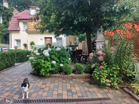 Pokój z łazienką Zwycięstwa Vacation rental in Miedzyzdroje