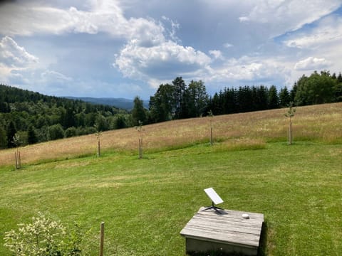Summer, View (from property/room), Garden view