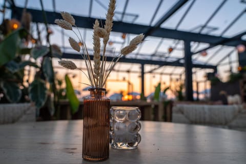 Patio, Food and drinks, Drinks, Sunrise, Sunset