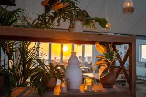 Patio, Food and drinks